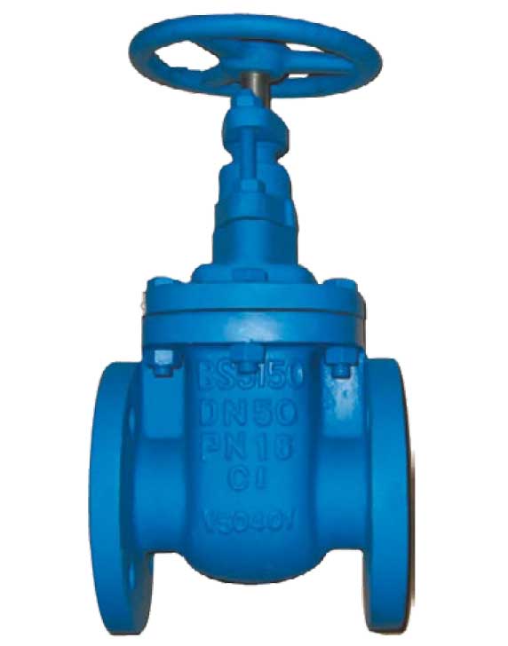 DN50 (2") Cast Iron Gate Valve Flanged Table PN16