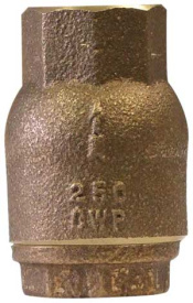 38-bspt-bronze-spring-check-valve.jpg
