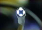 wit-007_closeup.jpg