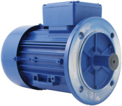 oil-pump-motor-0.55kw-2800rpm-2pole-415v_2.jpg