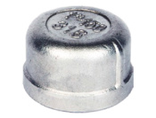 2-12-bsp-ssteel-round-cap-150-psi.jpg