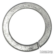 spring-washer-4_2.jpg