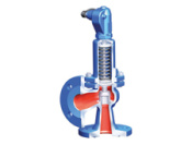 80mm-_3_-ari-safe-p-cast-steel-safety-valve-pn40-x-pn40.jpg