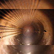 apex-1_1.jpg