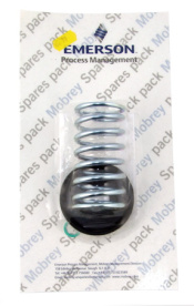 mod.-valve-spring--piston-cup-sk79.jpg