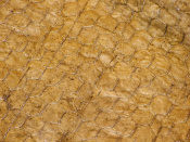 70-056-_inset_.jpg