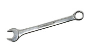 sp100_enwwmpro2.jpg