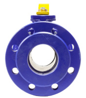 Blue-Valve-11.jpg