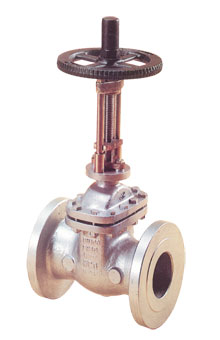 PS FIG650 2" Parallel Slide Valve PN16