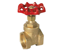 1 1/2" BSP Brass Gate Valve PN16