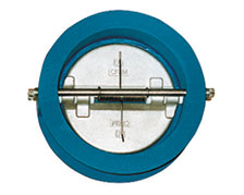 DN100 (4") Cast Iron Dual Plate Wafer Check Valve