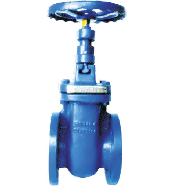 DN50 (2") Cast Iron Gate Valve Flanged Table E