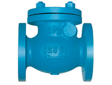 DN300 (12") Cast Iron Swing Check Valve Flanged PN16