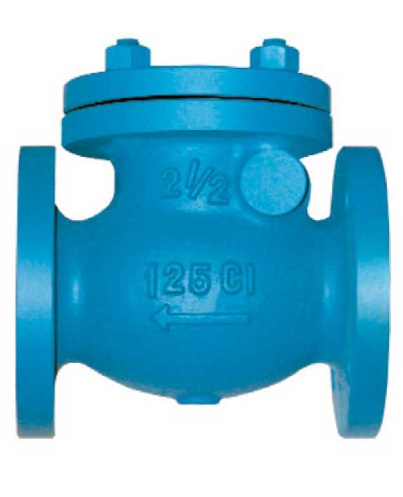 DN65 (2 1/2") Cast Iron Swing Check Valve Flanged PN16