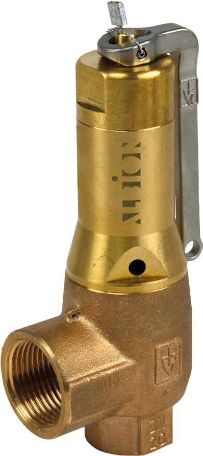 1 1/4" BSPP Fig 645 Safety Valve Pre-Set To 6.0 Bar