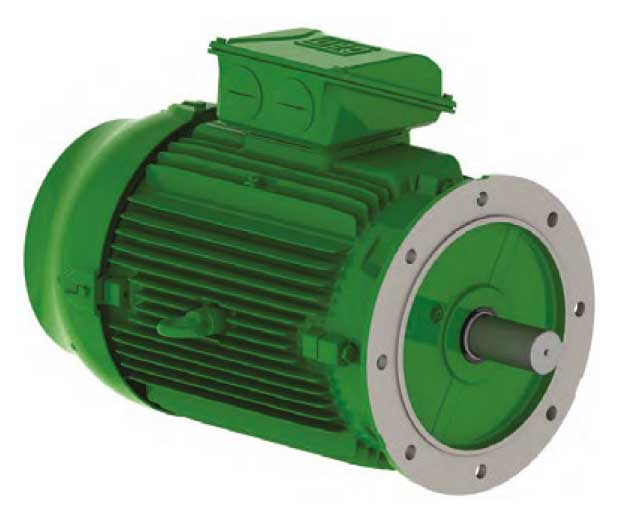 Flange Mounted Motor 0.75KW 3000rpm 2pole 400V Star (460V)