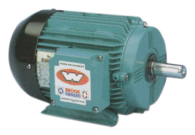 Foot Mounted Motor 1.5KW 3000rpm 2pole 400V Star (460V)