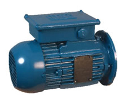 Flange Mounted Motor 7.5KW 3000rpm 2pole 400V Delta (460V)