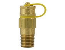 8mm (1/4") BSPT Test Plug in Brass - Neoprene Seal