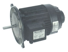 Oil Burner Motor 1/3176 370W N2 12.7 (R)