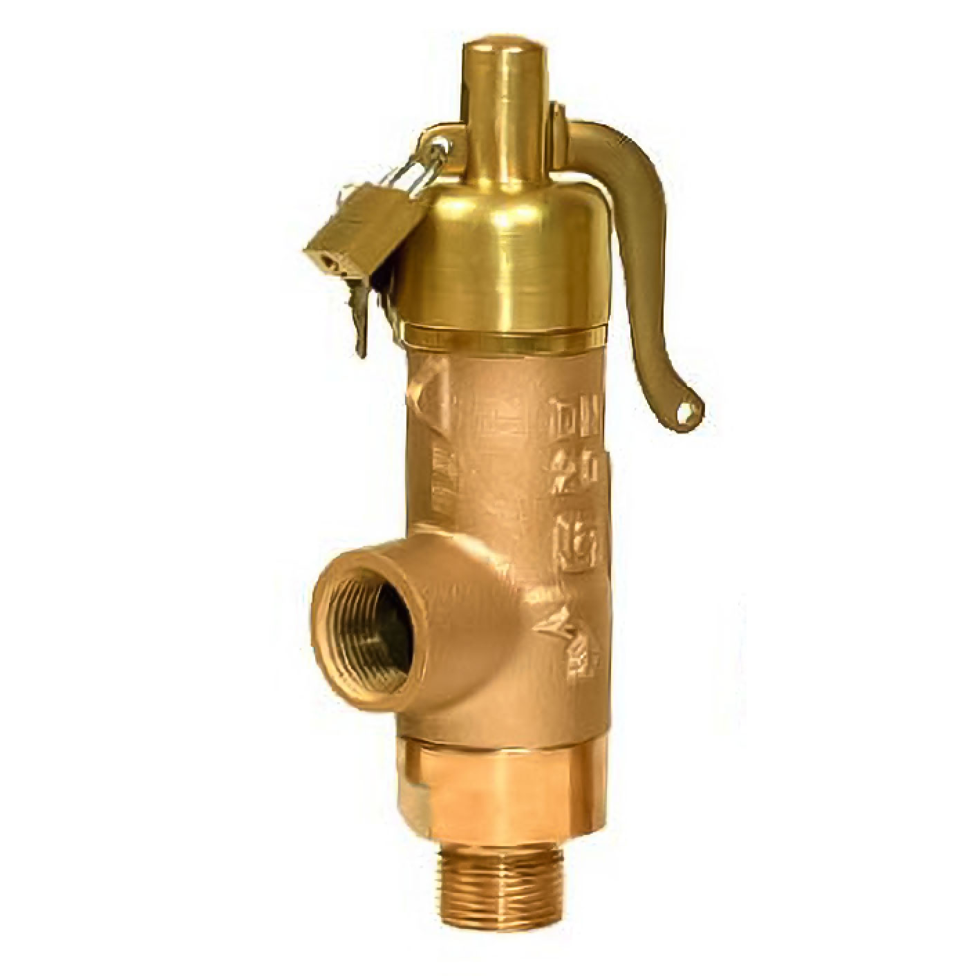 1 1/4" Fig 707-45ML Safety Valve