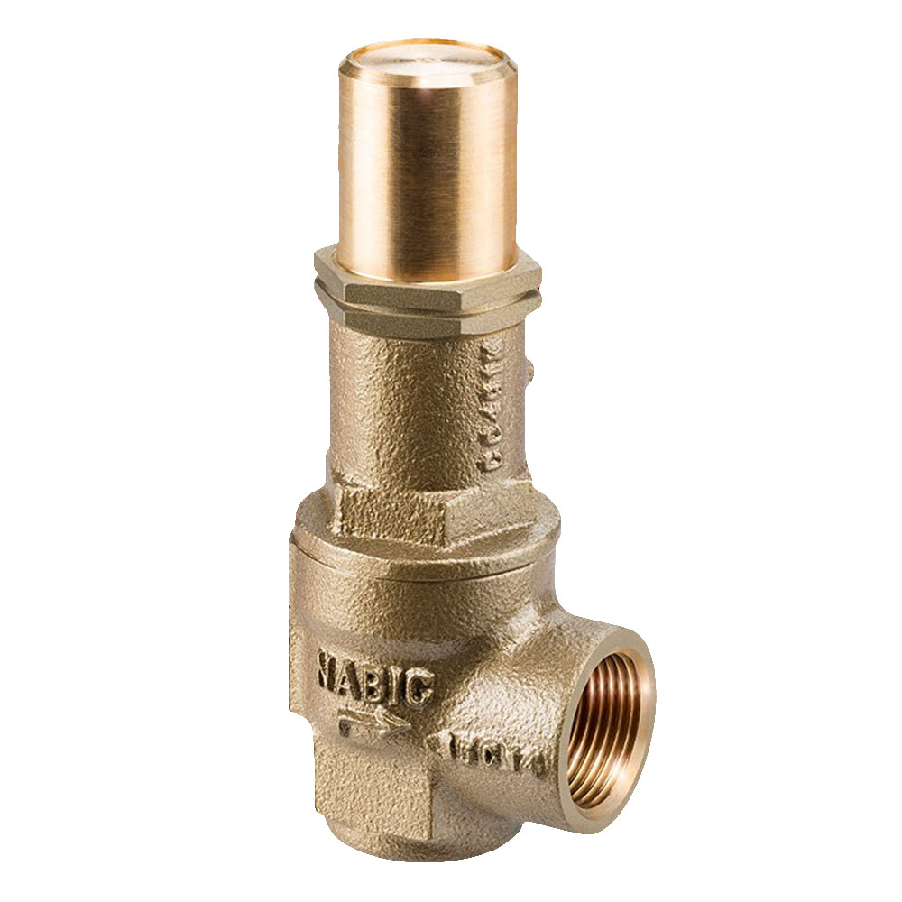 2 1/2" Fig 542L Safety Valve