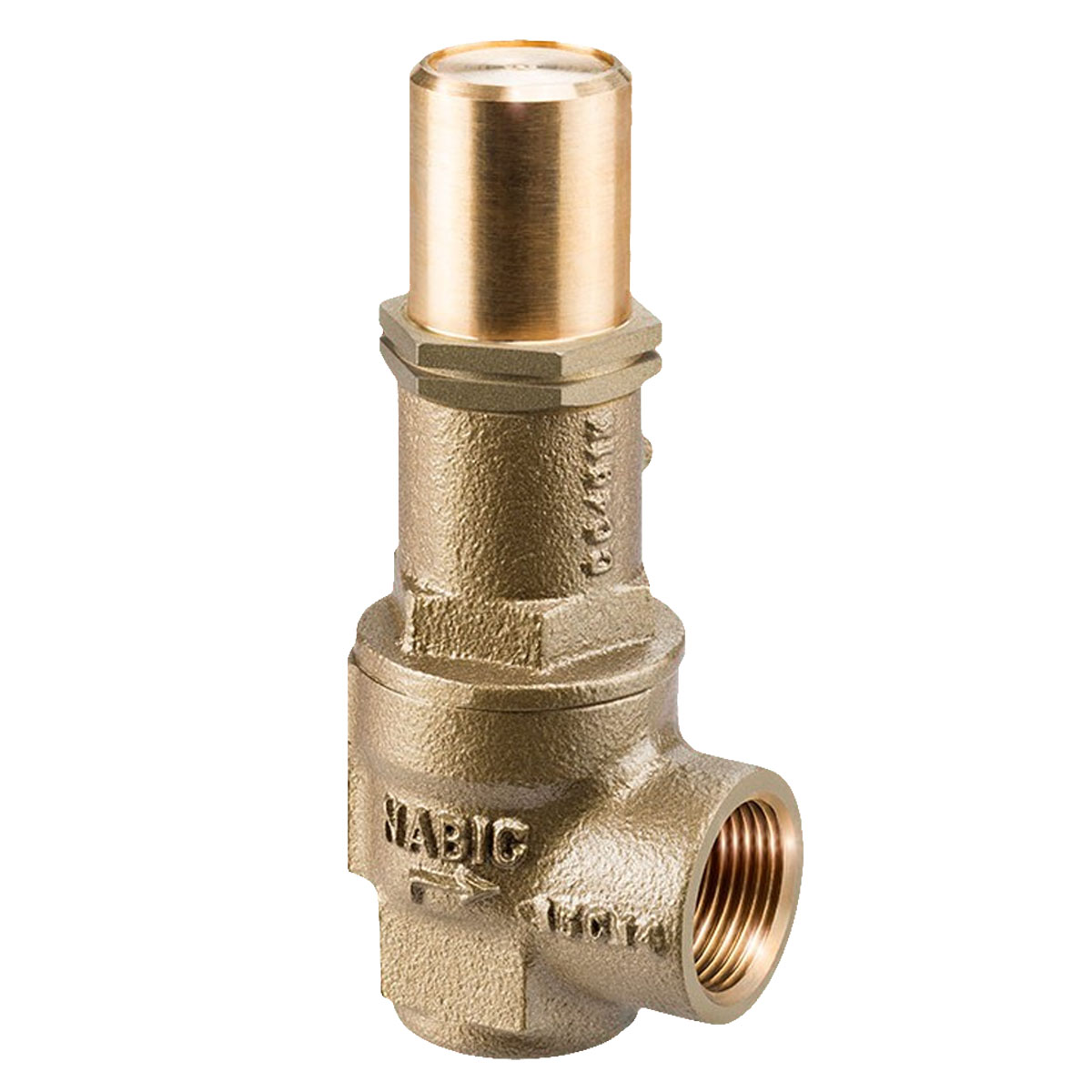 2 1/2" Fig 500L Safety Valve