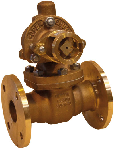 2" Fig. M2442 PSBDV Drilled BS10 Table 'H'