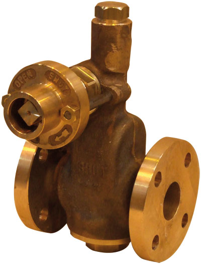 1 1/2" Fig.733 PSBDV Drilled BS10 Table 'H'